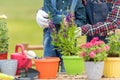 Close up  plants. Family mother and kid daughter plant sapling tree outdoors in nature spring Royalty Free Stock Photo