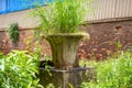 Close-up of plants grown in stone pots outdoors in the park Royalty Free Stock Photo