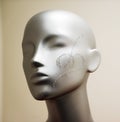 Close-up of a plastic mannequin head in a shop window Royalty Free Stock Photo