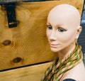 Close up of a Plastic Mannequin Head Royalty Free Stock Photo