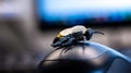 A close up of a toy bee placed on a computer mouse Royalty Free Stock Photo