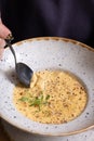 Close-up of a plate of cream cheese soup with nuts and greens.