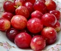 Close-up of a plate of delicious large and bright red grapes.