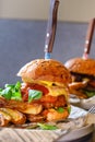 close-up of a plate with a hamburger and potatoes in a cafe on the table Royalty Free Stock Photo