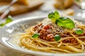 Close-up of plate of served spaghetti, minced meat sauce and basil Royalty Free Stock Photo