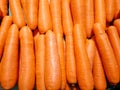 Close up of plenty fresh organic carrot. Royalty Free Stock Photo