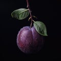 Close up of sweet plum on dark Royalty Free Stock Photo