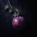 Close up of sweet plum on dark Royalty Free Stock Photo