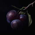 Close up of sweet plum on dark Royalty Free Stock Photo