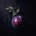 Close up of sweet plum on dark Royalty Free Stock Photo