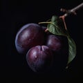 Close up of sweet plum on dark Royalty Free Stock Photo