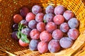 Close-up of plums in basket Royalty Free Stock Photo