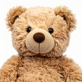 Close Up Plush Brown Teddy Bear on Clean White Background Soft Lighting Royalty Free Stock Photo
