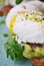 Close-up poached egg with yolk on toast with avocado and salad Royalty Free Stock Photo