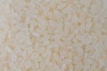 Close-up of polished Japanese short grain rice kernels, textured wallpaper Royalty Free Stock Photo