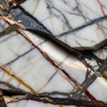 A close up of a polished marble surface featuring a complex network of veins Royalty Free Stock Photo