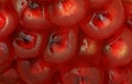 Close up of Pomegranate grains
