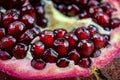 Close up of pomegranate seed. Open pomegranate fruit where ripe red pomegranate seeds are seen. Fruit pomegranate. Macro Royalty Free Stock Photo