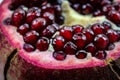 Close up of pomegranate seed. Open pomegranate fruit where ripe red pomegranate seeds are seen. Fruit pomegranate. Macro Royalty Free Stock Photo