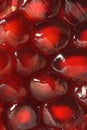 Close-up of pomegranate seeds