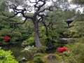 Close up of pond, trees, flowers and plants at Japanese zen garden in Kyoto. Royalty Free Stock Photo