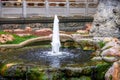 Close-up of pool fountain in Chinese garden Royalty Free Stock Photo