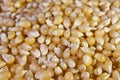 Close-up of popcorn kernels Royalty Free Stock Photo