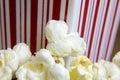 Close up of popcorn kernels Royalty Free Stock Photo