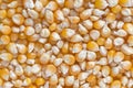 Close up of popcorn seeds