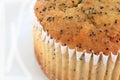 Close up of a Poppy Seed Muffin Royalty Free Stock Photo