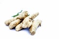 Close up of popular Indian & Asian raw organic herb or ayurvedic herb isolated on white i.e. Amba haldi or Mango ginger or white g Royalty Free Stock Photo