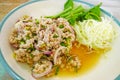 Larb, pork with spicy. Thai food.