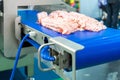 Close up pork or meat sliced on conveyor of automatic and precision slicer machine for industrial food manufacture