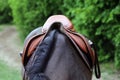 Close up of a port horse during competition under saddle outdoors