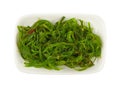 Close up portion of green wakame seaweed salad Royalty Free Stock Photo