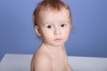 Close up portrait of adorable baby boy looking directly at camera, having sad facial expression, posing isolated over blue studio Royalty Free Stock Photo