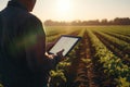 Close-up portrait agronomist examining crop health using a tablet in a sunlit field. Generative AI