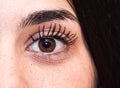 Close-up portrait of an attractive female with a deep brown eye