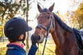 Close up portrait of bay horse with rider girl