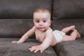 Close up portrait of beautiful baby boy lying on the sofa and looking at the camera. Family concept Royalty Free Stock Photo