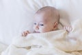 close up portrait of a beautiful baby on white background at home covered with a blanket