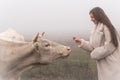 Close up portrait of the beautiful brunette girl in white coat that gives a flower to the white cow, meadow in fog on Royalty Free Stock Photo