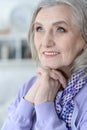 Close-up portrait of a beautiful happy senior woman Royalty Free Stock Photo