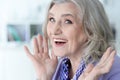 Close-up portrait of a beautiful happy senior woman Royalty Free Stock Photo