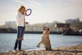 Close up portrait of beautiful long haired girl training her Labrador Retriever dog on the beach Royalty Free Stock Photo