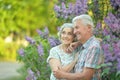 Close up portrait of beautiful senior couple hugging Royalty Free Stock Photo