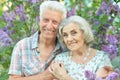 Close up portrait of beautiful senior couple hugging Royalty Free Stock Photo