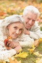 Portrait of beautiful senior couple lying on grass Royalty Free Stock Photo