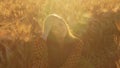 Close-up portrait of beautiful young woman in a field. Female face in the rays of sunset. Freedome and happiness concept