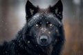 A Close-Up Portrait of a Black Wolf in Winter Snow. Generative AI Royalty Free Stock Photo